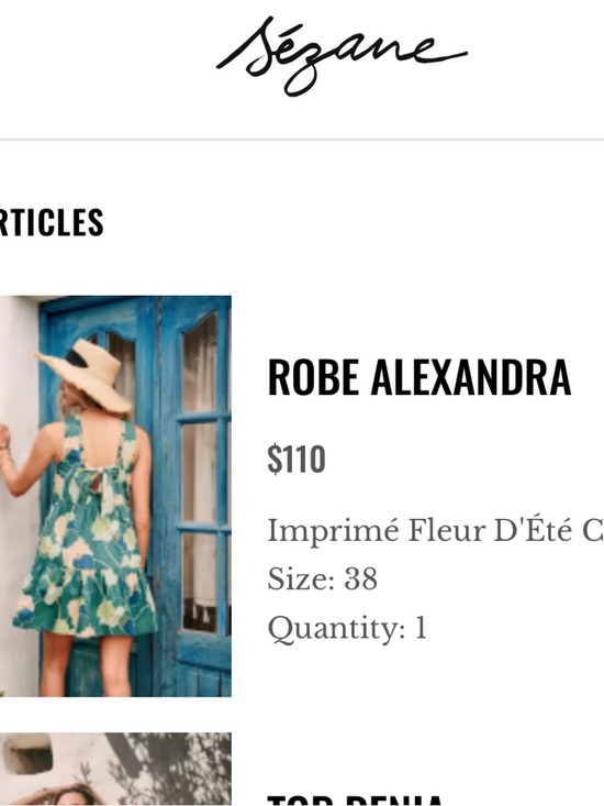 Sezane Dresses & Skirts - Robe Alexandra - Green Floral Sundress